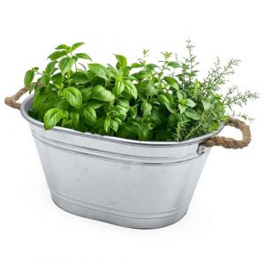 Bac à fleurs ovale en zinc avec poignées en cordon naturel - 43 x 30 cm - Petit pot de fleurs en métal argenté galvanisé - Décoration de jardin (Special-trends, neuf)