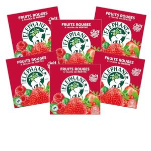 Elephant, Infusion Aromatis&eacute;e, Go&ucirc;t Fruits Rouges & Touche de Menthe, Certifi&eacute; Rainforest Alliance, Ingr&eacute;dients d'Origine 100% Naturelle, 120 Sachets Pyramid (PENNGUIN-FR-CAMON, neuf)