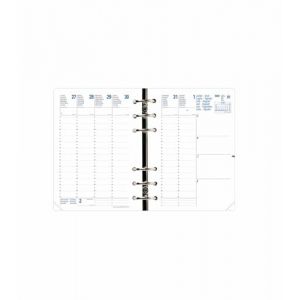 Quo Vadis - Recharge Organiseur - 2025-2026 - Compactimer - Semainier Planning - Multilingue - 17 mois de août à décembre - 11,5x16 cm (FOURNITURE DISCOUNT, neuf)