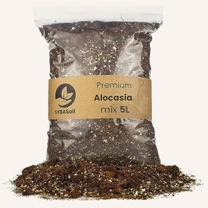 Mix terreau Premium alocasia, sans Tourbe 5L Parfait pour Le rempotage avec nutriments pour 6 Mois Plus de Croissance (Sybotanica B.V., neuf)
