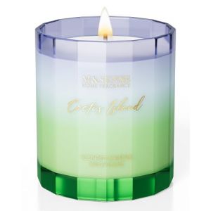 M&SENSE Bougie Parfumées Île de Cactus | 300 g, jusqu’à 60 h de combustion, Son parfum vert et moderne évoque des paysages désertiques, idéal pour un intérieur contemporain et inspirant (M SENSE OFFICAL STORE, neuf)