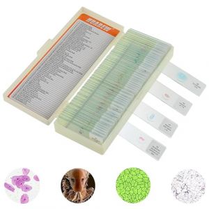 HUAREW 60 Pcs Lames Microscope pour Enfant avec échantillons biologiques,plantes, insectes, cellules humaines accessoires de microscope, préparations permanentes pour microscope (HUAREW, neuf)