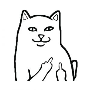 Autocollant chat doigt d'honneur grossier avec chat Autocollant amusant Chaton retournant Autocollant pour VTT, motocross, VTT, moto, voiture, casque, ordinateur portable, réfrigérateur, boîte (Wrench Monkey Ltd, neuf)