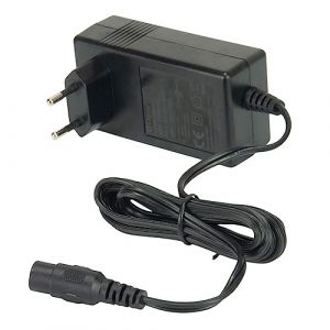 INJUSA - Chargeur pour Batterie au Plomb-Acide de 24V Uniquement Compatible avec Les Véhicules Électriques Injusa 24V | Motos | Voitures | Quads à Batterie (INJUSA, neuf)