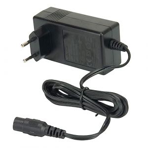 Injusa Chargeur pour batterie au plomb-acide de 24 V compatible avec les véhicules électriques Injusa 24 V (motos, voitures et quads à batterie) 12 heures de charge (INJUSA, neuf)