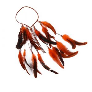 Femme Bandeau Plume Coiffe Indienne Bandeaux Hippie Coiffe Headband Fantaisie Réglable Serre-tête Indien à Plumes Bohème Accessoire de Cheveux Hippie Bandeaux pour Les Femmes Filles (Haptre, neuf)