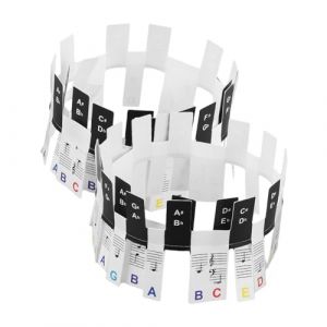 BESPORTBLE Autocollants Clavier Piano Touches Colorés pour Débutants Étiquettes Notes Claires Stickers Amovibles Sans Résidu Compatibles Claviers Électroniques et Traditionnels (Giovanna Baillie, neuf)