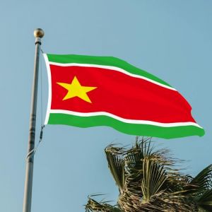 Drapeau de la France Guadeloupe &Icirc;les 90 * 150 cm/3x5 ft Drapeau de l'ind&eacute;pendance des &icirc;les de la Guadeloup&eacute;ens D&eacute;coration Articles Double Couture D&eacute;coratifs (WUSEYUN, neuf)