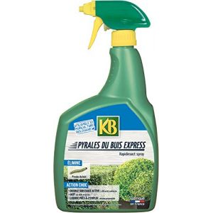 KB KPYR700 - Pulvérisateur Insecticide Pyrales du Buis Prêt à l'emploi 700 ML - A Base Huile de Colza et pyrètre (extrait de chrysanthème) - Pucerons, araignées Rouges, cochenilles - Jusqu'à 7 m² (graines passion, neuf)