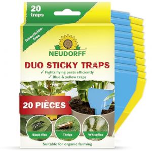Neudorff Duo Sticky Traps &ndash; Sticker bleus contre les thrips and sticker jaunes contre les petits insectes volants tels que les moucherons. Sans odeur, sans insecticide, 20 pi&egrave;ges (Neudorff, neuf)