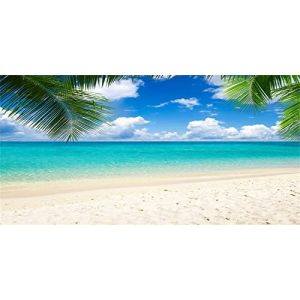 MIRRORANG 180x61cm Fond d'aquarium Tropical Fond de r&eacute;servoir de Poissons de Plage de Sable de mer Bleu (MIRRORANG Shop EU, neuf)