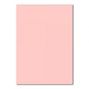 FarbenFroh by GUSTAV NEUSER 50x A4 Carton-Carte - Couleur: Rose - 210 x 297 mm - 240 g/m² - Papier Tonique Carton Photo Papier de Bricolage Carton d'argile (GUSTAV NEUSER GmbH, neuf)