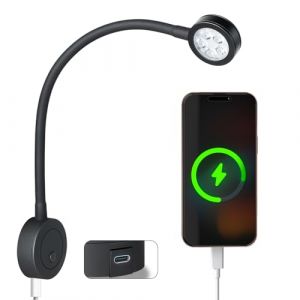 acegoo lampe de lecture LED 12V camping-car lit murale chevet, col de cygne flexible dimmable DC12-24V avec variateur et chargeur Type-C pour bateau cabine camion van caravane, noir (1 pcs) (Acegoo EU, neuf)