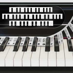 HomeGadget Aide Piano [idéal pour les débutants] - 88 touches en silicone - Étiquettes de note pour apprendre - livrées dans une petite boîte - Noir (DBSW Trading GmbH, neuf)