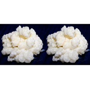 Pack 2X 40g de Granules de Kéfir de Lait + Instructions + Recettes + Aide et conseils en français - KEFIRALIA® (Kefiralia, neuf)