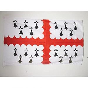 AZ FLAG - Drapeau Pays de Vannes - 150x90 cm - Drapeau Vannetais En Pays De Waroch 100% Polyester Avec Fourreau et cordelette - Pavillon 110 g (AZ-FLAG, neuf)