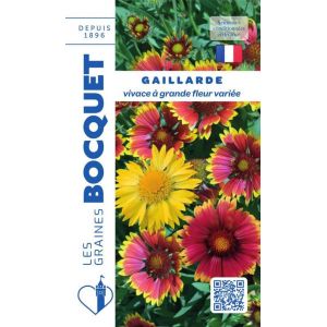 Sachet de graines de Gaillarde vivace &agrave; grande fleur vari&eacute;e - 1,5 g - fleur vivace - LES GRAINES BOCQUET (LES GRAINES BOCQUET, neuf)