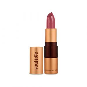 SoulTree Ayurvedic Lipstick, Iced Plum 520, 4.5 g (LESS WASTE, neuf)