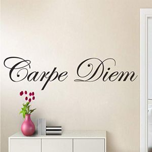 BINGQIAN Stickers muraux Vinyle Noir - Citations inspirantes Carpe Diem - pour Une Ambiance Moderne et Minimaliste Home， 100x30cm (梵盈商贸, neuf)