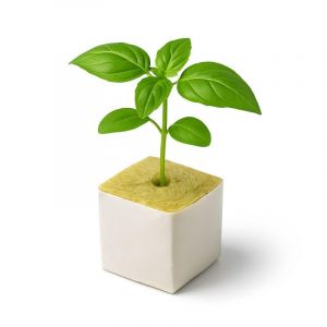 Weedness Cubes de Laine de Roche 10x10 cm - Culture boutures semis Plantes Culture terreau de Culture (Weedness, neuf)
