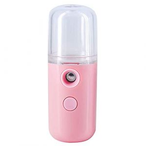 QPOLLY Mini Nano Pulv&eacute;risateur Facial, 30ML Vapeur Visage Vaporisateur, Vaporisateur Portable Pulv&eacute;risateur &agrave; Brume pour Beaut&eacute; Visage Humidificateur Soins de Peau Eau SPA Hydratant, 1PCS Rose (Qpolly, neuf)