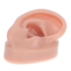 MERRYHAPY 1pièce Modèle Oreille Silicone Pour Pratique De Perçage Maquette Réaliste Pour Apprentissage Et Affichage Droite (Tanomi, neuf)