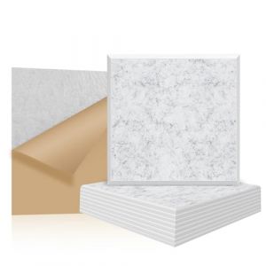 GUUSII HOME Panneau Acoustique Mural Isolation Phonique Plaque 23 * 23 * 1cm Absorbeur De Bruit Polyester Insonorisante Autocollante Dalle Traitement pour Home Studio(Gris Nuage,M Carré 12 Pack) (GUUSII HOME, neuf)