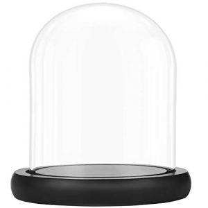 BELLE VOUS Cloche en Verre avec Socle en Bois Noir Naturel - 17 cm - Cloche Verre Décorative Transparente avec Plateau en Bois pour Lumières, Décorations de Table, Antiquités (Tinyyo Europe, neuf)