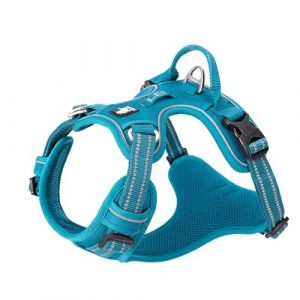 Harnais pour Chien No Pull Nylon Souple Réfléchissant Réglable pour Petit Grand Animal Domestique TLH56512(XS, Bleu) (Truelove Pet Garment and Shoes Co.Ltd., neuf)