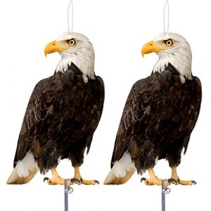 Effaroucheur Oiseaux, Effaroucheur Oiseaux Anti Pigeon, Carton Repulsif Pigeon, Effaroucheur Pigeons pour Balcon, R&eacute;pulsif Oiseaux pour Jardin Lot De 2 (Cool Play UK, neuf)