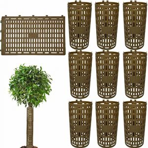Creperture Lot de 10 Protecteurs de Tronc d'arbre de Plantes Réglables en Plastique D'écorce d'arbre Protecteur pour Semis,38 x 25 cm,Marron (Keand, neuf)