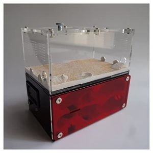 BLUVLY Fourmili&egrave;re B&eacute;ton Fourmili&egrave;re, Fourmili&egrave;re avec Zone d'alimentation, Grande Fourmili&egrave;re Plate, Grande Fourmili&egrave;re Et Atelier Ch&acirc;teau 15&times;13.5&times;10cm (chengkaibaihuo, neuf)