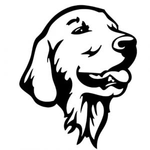 Autocollant pour voiture Golden Retriever Autocollant 18 cm (7,1 pouces) Golden Retriever Car Sticker Drôle Golden Retriever Noir Réfléchissant Autocollant Voiture Pare-chocs Personnaliser Amusant (TIZIKJ-FR Store, neuf)