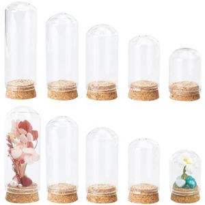 SUNNYCLUE 15 pcs Mini D&ocirc;me D'Affichage en Verre Cloche en Verre Cloche Petits D&ocirc;mes en Verre avec Base en Bois Cloche en Verre Cloche Pr&eacute;sentoir Mini Cloche D&ocirc;me pour Mariage, Maison, Artisanat, F&ecirc;te (SUNNYCLUE  FR, neuf)