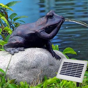 Jet d'eau pour Bassin avec Pompe Solaire Grenouille sur la Pierre - Sujet Cracheur pour Donner Vie &agrave; Votre Bassin de Jardin (Amur S.&agrave; r.l., neuf)