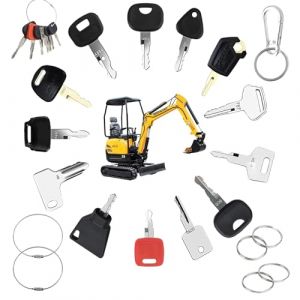 20 Pcs Jeu De Clés D'Allumage, Cle Universelle Accessoires Clef Passe Partout, Rechange Clé De Contact avec Porte-clés, Universel pour Moteur, Pelles de Construction, Bulldozers, Tracteurs (QiangHaoSheng, neuf)