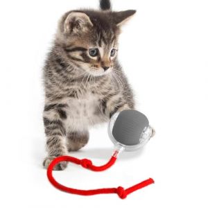 KQLHLHDYZ Jouet interactif pour chat - Balle intelligente pour chat avec d&eacute;tecteur de mouvement (Wenzhouchenchenshangmaoyouxiangongsi, neuf)