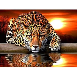 Bimkole 5D Diamond Painting DIY Kits Léopard Et Tigre, Animal Coucher De Soleil Broderie Diamant Kits De Broderie Au Point De Croix Strass Rond Résine Peinture Décor à La Maison 30X40 cm (Bimkole FR, neuf)