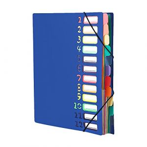 Trieur 12 compartiments Chemise Plastique a4 avec Rabat et Fermeture à Elastiques Extensible Pochettes pour Documents Multicolore Organisateur De Documents Dossiers Chemise Trieur Bureau (haozaikeji, neuf)
