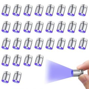 LUKIUP 30 Pi&egrave;ces Mini Lumi&egrave;res LED, mini lampe LED avec Batterie, petite lampe LED pour Bricolage Artisanal, Mod&egrave;le de Jouet Micro Lumi&egrave;re LED, D&eacute;coration de F&ecirc;te (Lumi&egrave;re Bleu-Violet) (smnwei'store, neuf)