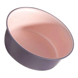 Alipis Bassine De Lavage Visage Multifonction 1 Grand Format Polypropyl&egrave;ne Bicolore Rose Violet Pour Salon De Beaut&eacute; Bain Des Pieds Et Mains (Dahlia Oiye, neuf)