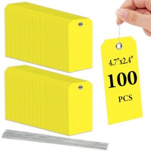 Flintronic 100pcs Etiquette Prix en Plastique, &Eacute;tiquettes de prix avec fil, &Eacute;tiquette &Eacute;tanche &agrave; l'eau Rigide, &Eacute;tiquettes de Prix en Vierges Inscriptibles pour Etiquette Vetement Bijoux Cadeaux (XJYEU, neuf)