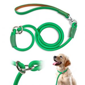 Qianruida Laisse Dressage et Collier 1cm x 150cm Laisse Retriever Laisse Lasso pour Chiens de Toutes Tailles Laisse Coulissante avec Poign&eacute;e Rembourr&eacute;e &ndash; Vert (QianRuidDa, neuf)