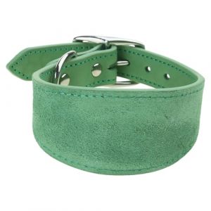 Colliers en cuir pour l&eacute;vriers - Rembourrage doux - Large collier pour whippets lurchers salukis grandes races - Accessoires pour animaux de compagnie - Accessoires pour chiens (qoeifj, neuf)