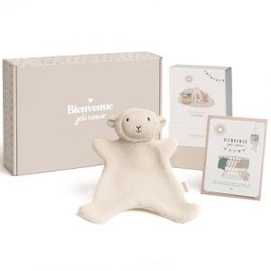 Manahia &ndash; Coffret naissance b&eacute;b&eacute; &ndash; Petit doudou mouton tout doux + 20 cartes &eacute;tapes + 1 carte Bienvenue joli coeur &ndash; box souvenir &ndash; Cadeau naissance nouveau n&eacute; (Manahia, neuf)