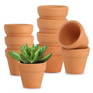AOROPS Petits Pots en Terre Cuite, 10 pcs Pots de Fleurs en Terre 3cm avec Trou de Drainage Pot Terre Cuite, Pot de Fleur en Terre Cuite de Succulent Cactus pour l'int&eacute;rieur Ext&eacute;rieur Jardin Chambre (ruoranshangpu, neuf)