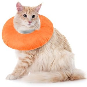 Collerette Chat Anti Lechage, Souple Collerette Chat Donut Chaton Sterilisation Collerette-Anti lechage Tissu(Orange, L) (PUMYPOREITY, neuf)
