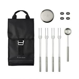 Solo Stove Kit d'accessoires pour Mesa | 4 Piques à brochette Miniatures + Supports, Pelle à granulés, Couvercle, Sac de Transport, Accessoires pour brasero extérieur, 22,4 x 40,6 cm, 1 kg (THS Store, neuf)