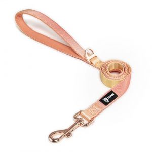 TSPRO Laisse pour Chien de Faible Poids, Gradient de Couleur Laisse Chien avec Poignée Rembourrée et Fermeture Métallique pour Chiens de Petite à Moyenne Taille (Orange Jaune) (TSPRO OUTDOOR, neuf)