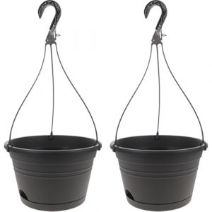 2 Pièces Pot De Fleur Support Succulent Suspendu Pot Mural Pots De Fleurs Suspendus Semis Pot De Pépinière Cache-pot Suspendu Pots De Départ Ligne Métallique Plante Plastique P518 (Antique Guyue, neuf)